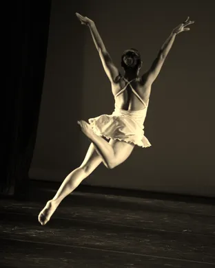 Dance Now! Miami: Love-Less - Dance of The Last Moho Braccatus