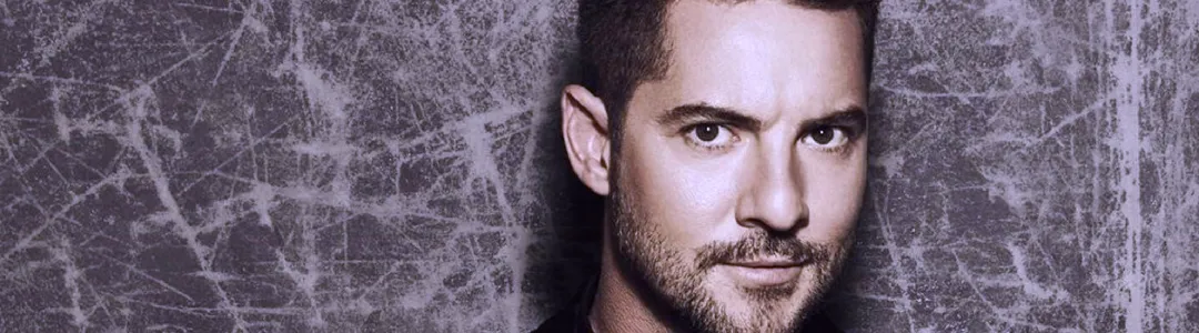 David Bisbal