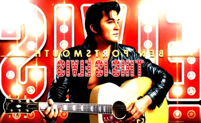 Elvis In Concert