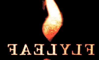 Flyleaf