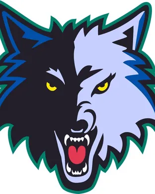 Minnesota Timberwolves vs. Miami Heat