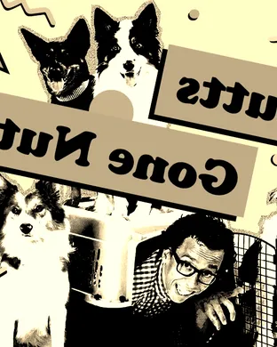 Mutts Gone Nuts Fort Lauderdale