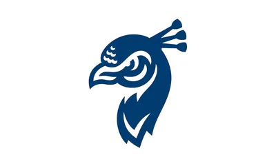 Saint Peter's Peacocks