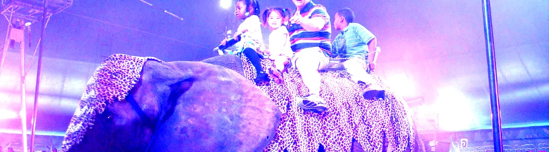 UniverSoul Circus