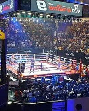 Fists Of Fury - Boxing
