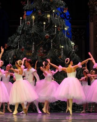 Dance Through the Ages